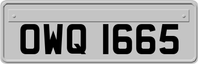 OWQ1665