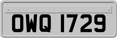 OWQ1729