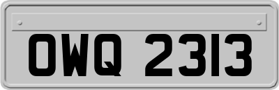 OWQ2313