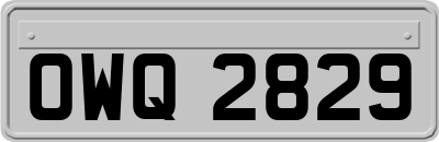 OWQ2829
