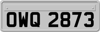 OWQ2873