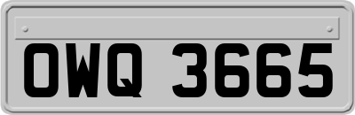 OWQ3665