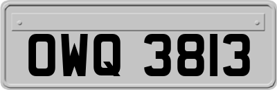 OWQ3813