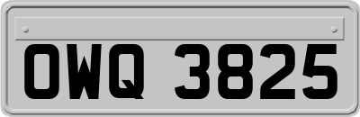 OWQ3825