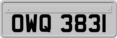 OWQ3831