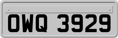 OWQ3929