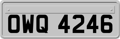 OWQ4246