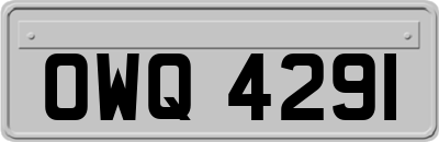 OWQ4291