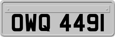 OWQ4491