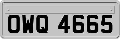 OWQ4665