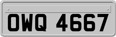 OWQ4667