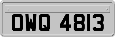 OWQ4813