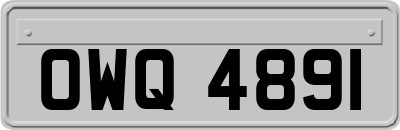 OWQ4891