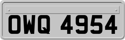 OWQ4954