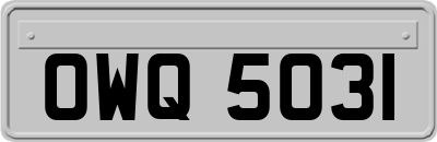 OWQ5031