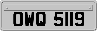 OWQ5119