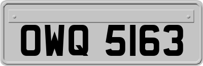 OWQ5163