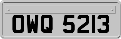 OWQ5213