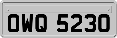 OWQ5230
