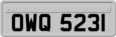 OWQ5231