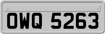 OWQ5263