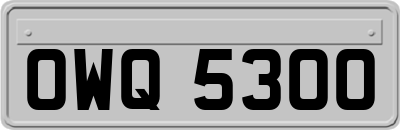 OWQ5300
