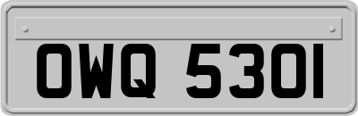 OWQ5301