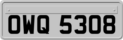 OWQ5308