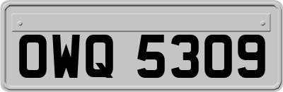 OWQ5309