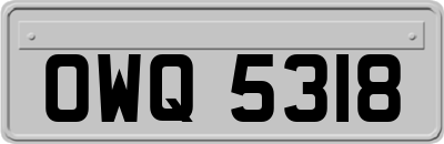 OWQ5318
