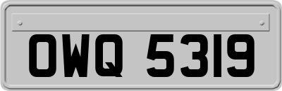 OWQ5319