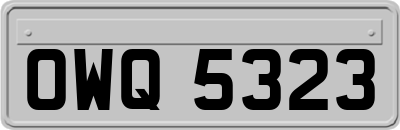 OWQ5323