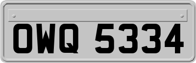 OWQ5334