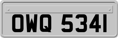 OWQ5341