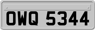 OWQ5344