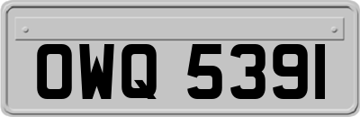 OWQ5391