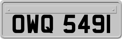 OWQ5491