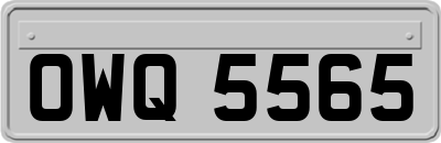 OWQ5565