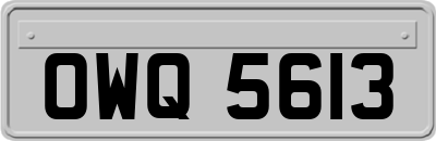 OWQ5613