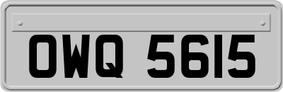 OWQ5615
