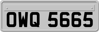 OWQ5665