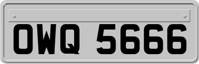 OWQ5666