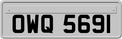 OWQ5691