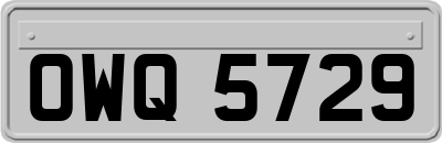 OWQ5729