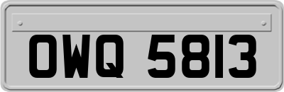 OWQ5813