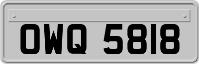 OWQ5818