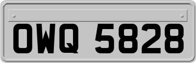 OWQ5828