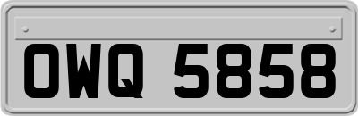 OWQ5858