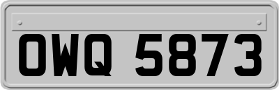 OWQ5873