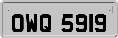 OWQ5919